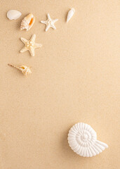 Fototapeta na wymiar Summer sea concept. Ammonite, starfishes and snail shell on sand. Top view. Copy space.