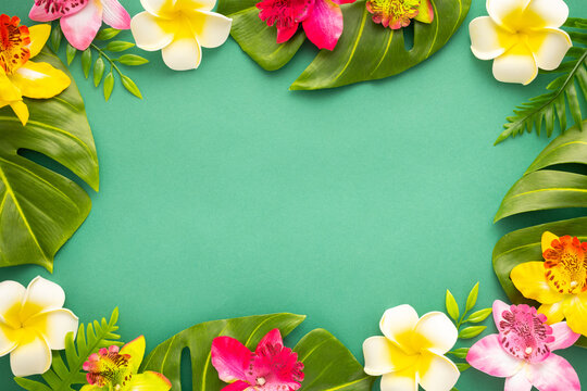 Summer background with tropical orchid flowers and green tropical palm leaves on green background. Flat lay, top view. Summer party backdrop