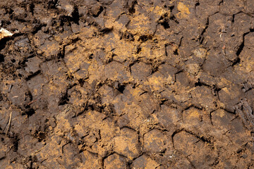 texture of the ground