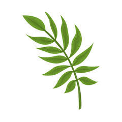 foliage branch frond