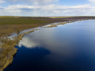 Fototapeta premium Aerial view of forest lake, forest, swamp and cloudy sky in spring