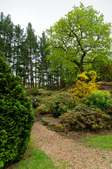 Fototapeta na wymiar Spring in the grounds of Exbury gardens