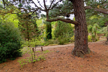 Spring in the grounds of Exbury gardens