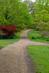 Spring in the grounds of Exbury gardens