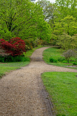Fototapeta na wymiar Spring in the grounds of Exbury gardens