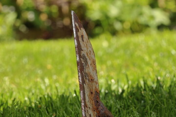 close up of a hoe on a lawn