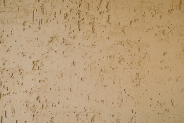 putty bark beetle on the wall texture