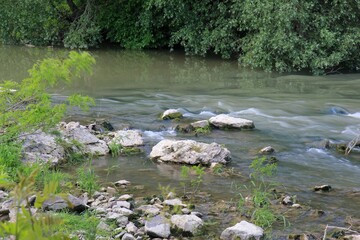 Fototapeta na wymiar Kamchia River in the vicinity of the village of Staro-Oryakhovo (Bulgaria)