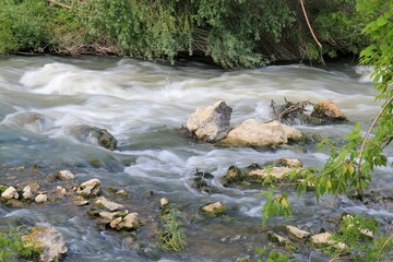 Naklejka na ściany i meble Kamchia River in the vicinity of the village of Staro-Oryakhovo (Bulgaria)