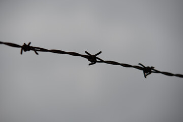 barbed wire fence