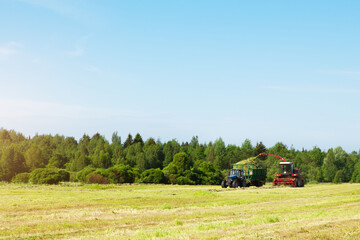 Obraz premium Hay harvesting in the field.