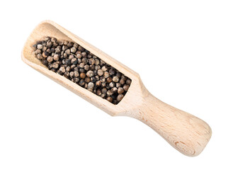 monk's pepper (Vitex) in wood scoop cutout