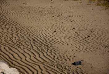 Sand Beach with Ripples in the Mud from the Tide