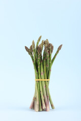 Isolated bunch of asparagus on light blue background