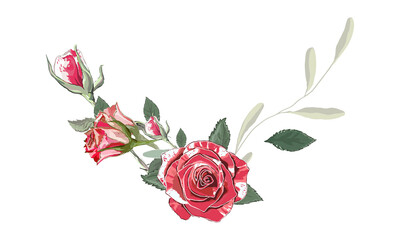 Border roses on a white background. Wreath. Decoration for text decoration. Vector illustration. Vintage floral elements. Use for postcards, frames, flyers, banners, invitations, greetings, messages.