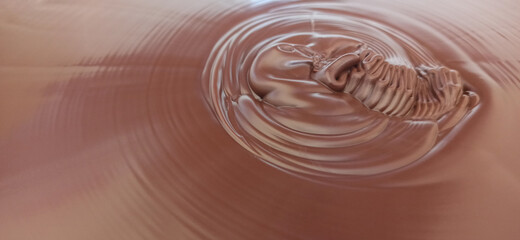 Chocolate spread in bowl, close up
