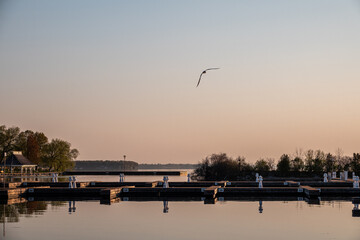 A Placid Morning in Late Spring on the Orillia Waterfront
