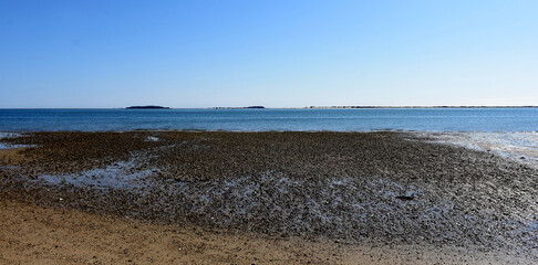Low Tide on a Rocky Beach Along the Bay