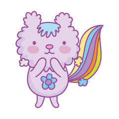 cute squirrel lovely,