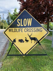 Warning sign for drivers to slow down and be cautious for wildlife crossing.
