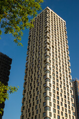 A shadow divides tall buildings