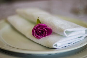 Rose Fuchsia. White rag napkin.
