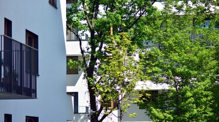 Obraz premium Condominium and apartment building with symmetrical modern architecture in the city downtown.
