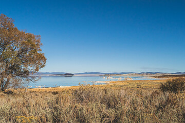 Mono lake, California in Autumn on sunny day with clear blue sky and tufa