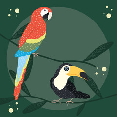 parrot and toucan