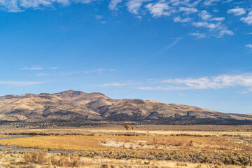 Fototapeta na wymiar Beautiful arid Rolling hills landscape in northern California