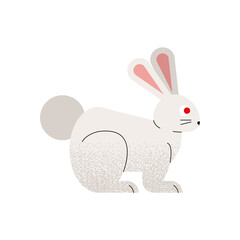 Fototapeta premium cute rabbit animal