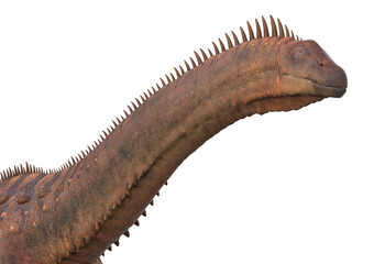 alamosaurus in white background close up view