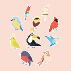 ten birds species