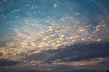 朝日に輝く鱗雲と花