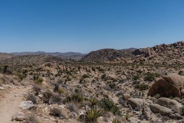 Scenic rock formation at the Joshua Tree National Park, Southern California