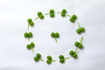 整列したハート型の実山椒