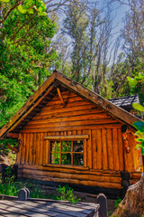 Fototapeta na wymiar cabin in the woods