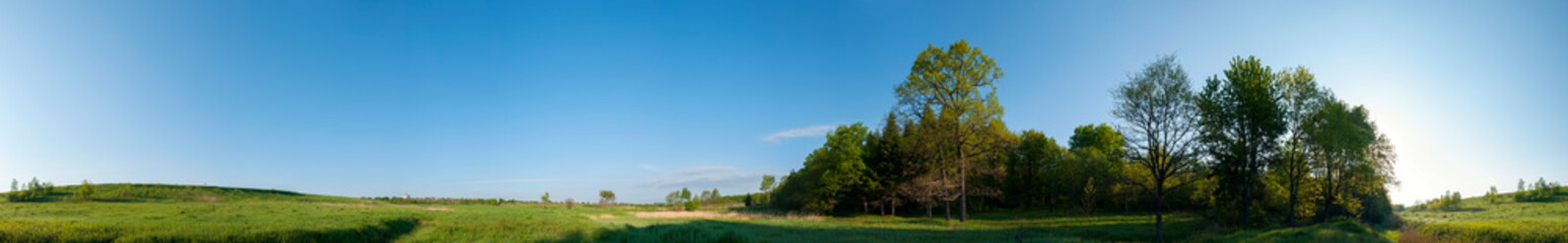 Fototapeta na wymiar Spring forest and field on a background of blue sky