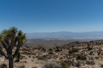 Scenic panoramic aerial Joshua Tree National Park vista, Southern California