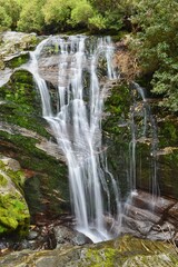 New Zealand, Milford Track is one of the Great Walks. This track is 52 kilometres long and takes you through the stunning sceneries of Fiordland National Park. 