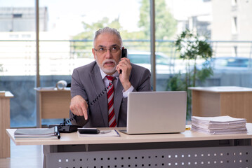 Aged businessman employee working in the office