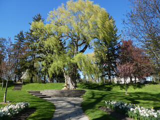 Garden's landscape with trees and flower bed