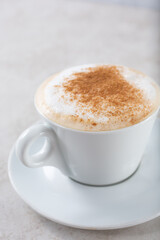 A view of a cappuccino coffee mug, garnished with foam and cinnamon.