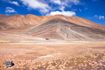 Naklejka premium vida animal