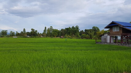 Obraz premium A house which are build by a businessman in a local village to welcome visitor from around the world.