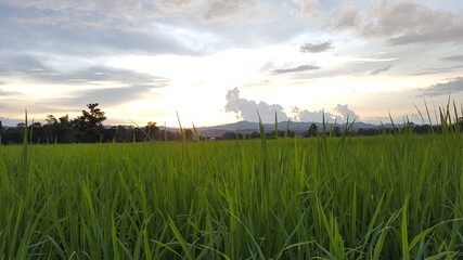 The sun sets down among trees and mountains shining its last light of the day.