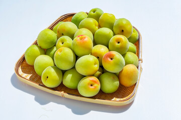 収穫した青梅　梅酒　梅シロップ