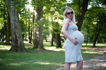 Beautiful Pregnant Woman Relaxing Outside in the Park