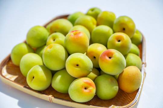 梅シロップ の画像 1 0 件の Stock 写真 ベクターおよびビデオ Adobe Stock 梅シロップ の画像 1 0 件の Stock 写真 ベクターおよびビデオ Adobe Stock