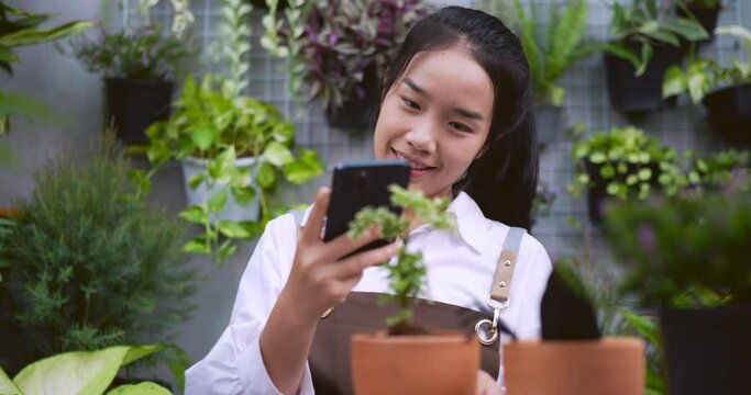 Woman take a photo plant to social